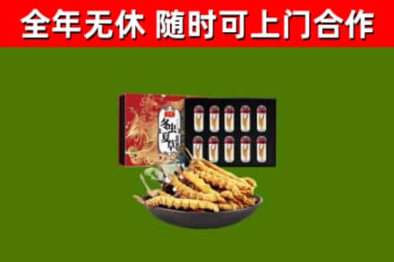 新民烟酒回收冬虫夏草礼盒.jpg